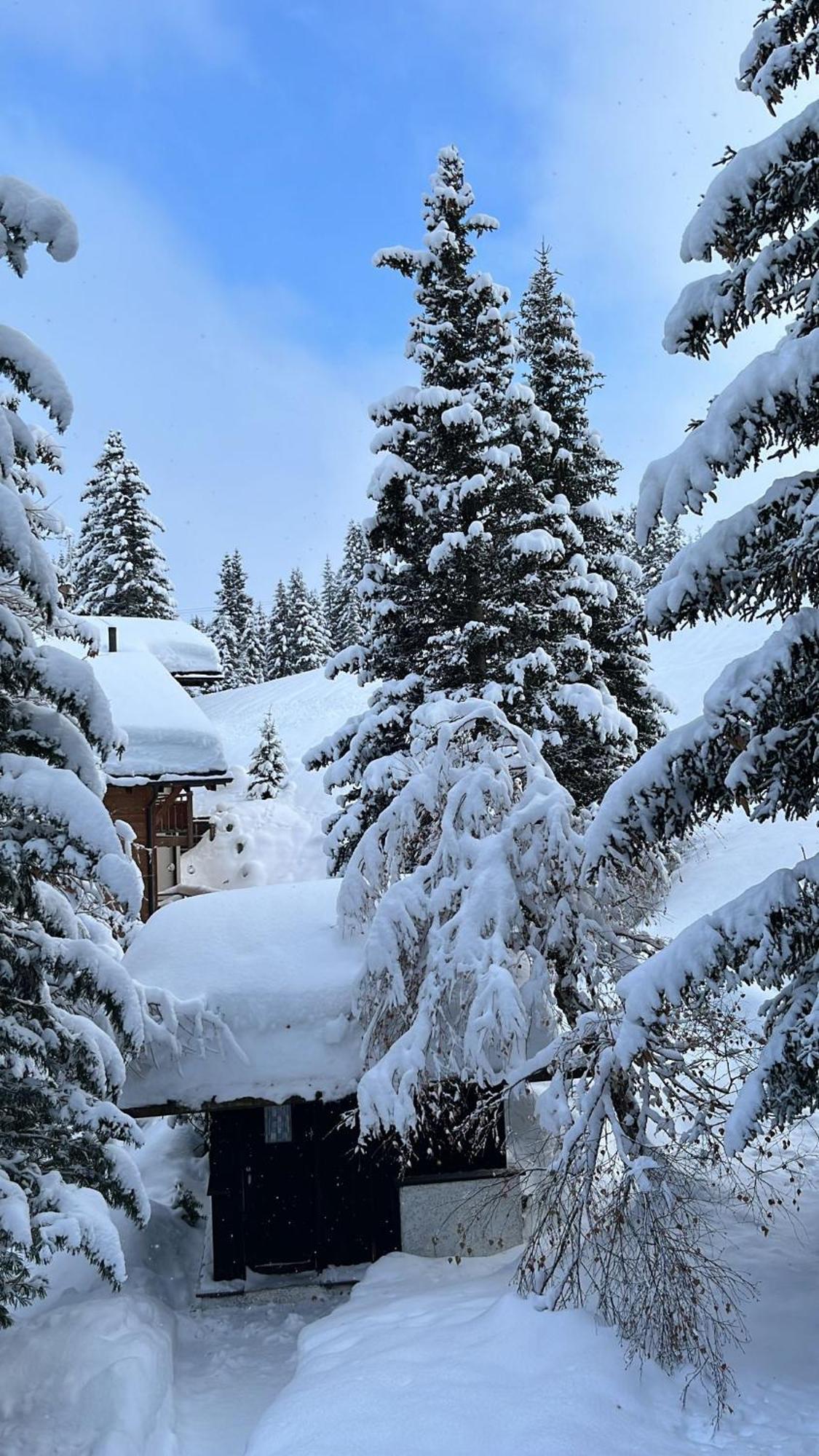 Chalet Baur Arosa Luaran gambar