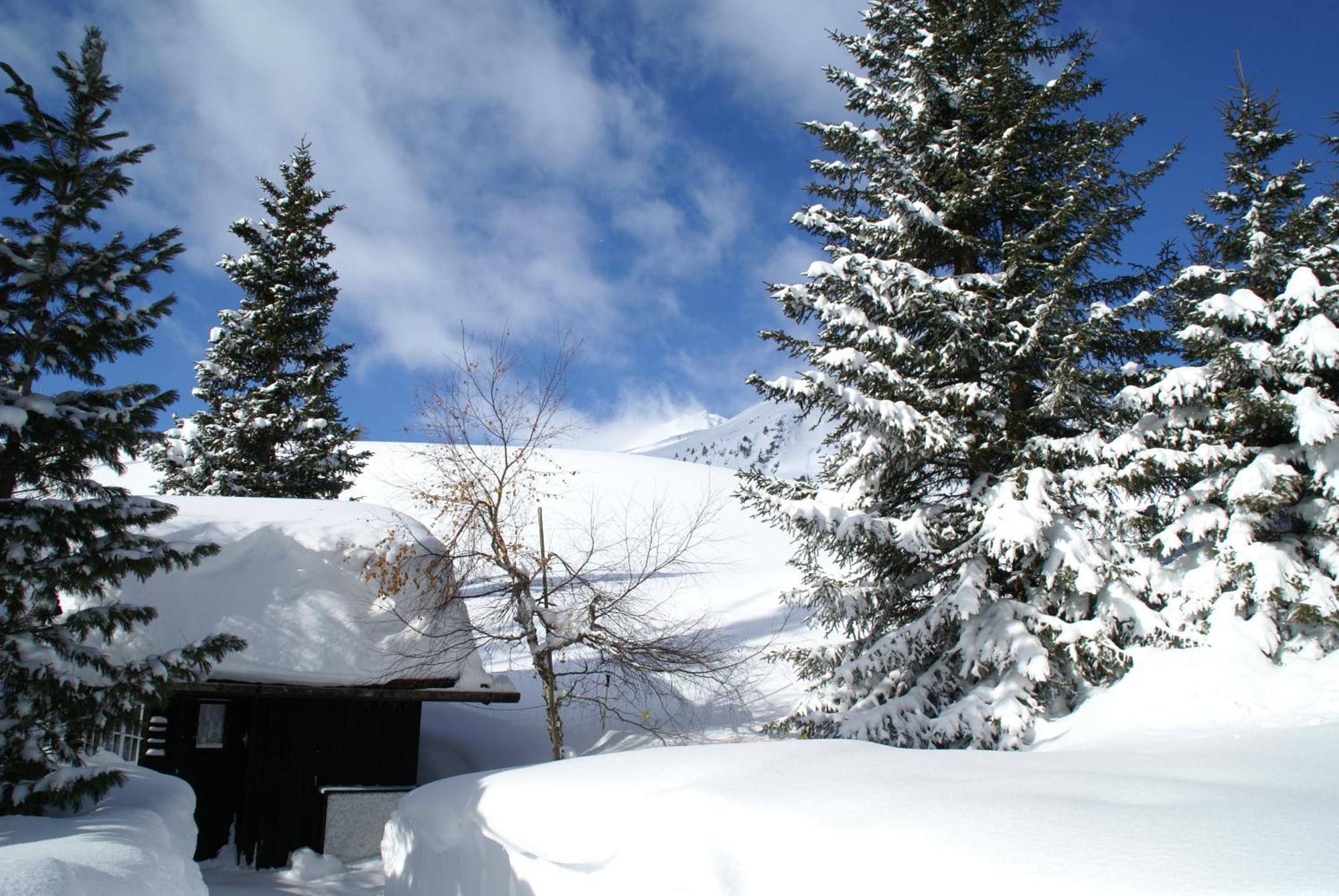 Chalet Baur Arosa Luaran gambar